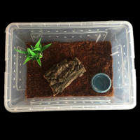 Caja De Cría Para Reptiles Acrílico Transparente 1 Pc Tanque De Tortugas Lagartos Insectos Y Araña Caja De Vitrum Para Mascotas - details 6