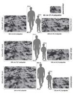 Carpetas Gruesas Para Sala De Estar Alfombra Suave De Velours Antideslizante Para Dormitorio Y Niños Decoración De Hogar Rugs De Terciopelo - details 0