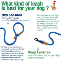 Correa Y Collar De Cuerda Tejida De Alta Resistencia Para Perros Medianos Y Grandes Correa Slap Con Anillo Ajustable Para Entrenamiento - details 3