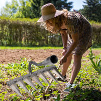 Pala De Jardín De Hierro Para Rascar Y Desenredar La Tierra Herramienta Agrícola Con Mango De Metal Y Cuerpo De Acero Inoxidable Para Jardinería Y Agricultura - details 5