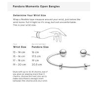 Pandora Pulsera para Mujer Plata de Ley 925 596477, Viene con Caja de Joint original. - details 1