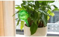 Bola De Riego Automática Para Plantas Juego De Riego Por Drip Irrigación Sistema Globular De Plástico Para Jardín Y Flores - details 5