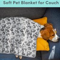 Manta De Mascota Suave Y Gruesa Con Patrón De Dibujos Animados Cómoda Y Cálida Para Gatos Y Perros Toalla De Baño Para Gatos - details 4