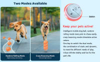 Bola De Juguete Inteligente Para Perros Y Gatos Bola Rodante Automática Con Luz RGB Juguete Interactivo Para Mascotas USB - details 1