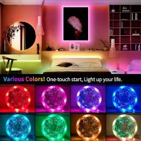 Tira De Luces LED RGB USB 5V Con Control Remoto De 44 Teclas Para Iluminación De Pared Y Habitación Flexible Para TV Y Hogar - details 3