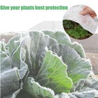 Cubierta Antfriozón Para Plantas No Tejida Protección Contra Heladas Invierno Térmica Isolante De Poliéster Para Jardín - details 6