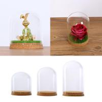Jarrón De Vidrio Con Cubierta De Cloche Miniatura Terrario Para Flores Secas Y Plantas Decoración De Escritorio Juego De Fairy Garden - details 6