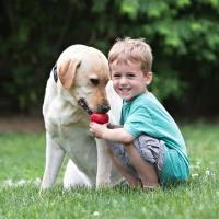KONG Classic rojo juguete rellenable para perros talla S - details 6
