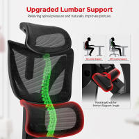 ACGAM Silla de Oficina, Silla de Escritorio de Malla, Silla Giratoria Ergonómica, Soporte Lumbar, Oscilante, Asiento de 53 cm, Apoyabrazos Abatibles, Negro - details 3