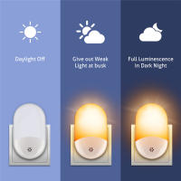 Lámpara Nocturna LED ZEYEILY Con Sensor De Luz Para Pasillo Dormitorio Garage Corredor Cocina Enchufe EU/US Incluido - details 7