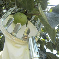 Recogedor De Frutas Metálico Para Jardín Y Huerto Herramienta De Recogida De Árboles Altos Para Manzanas Duraznos Uvas Con Bolsa De Cosecha Herramientas Para El Jardín Y La Granja - details 3
