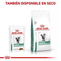 12 X 85g - Royal Canin Veterinary Diabetic  Alimento completo dietético para gatos  Para regular el aporte de glucosa  Con trocitos finos en salsa  Alto contenido en proteínas - details 2
