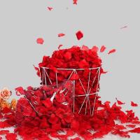 1000pcs Rosas Petalos Para Boda Decoración De Habitaciones Confesión Propuesta Crear Un Romántico Ambiente Para Valentine's Day Y Más - details 1