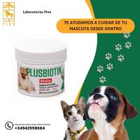 PLUSBIOTIN. Suplemento de biotina para perros y gatos de Laboratorios Pino.  Mantenimiento del pelo y uñas en perros y gatos. - details 2