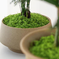 Plantas Artificiales Verdes Alrededor De 20g Poliéster Moqueta Hierba Para Decoración De Hogar Sala De Estar Jardín Mini Paisaje Flores Falsas DIY Artesanía - details 18