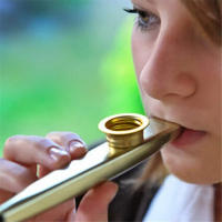 Kazoo De Aleación De Aluminio Dorado Con Membrana Y Diáfragma Musical Instrumentos De Flute Miwayer Proveniente De China Continental - details 4