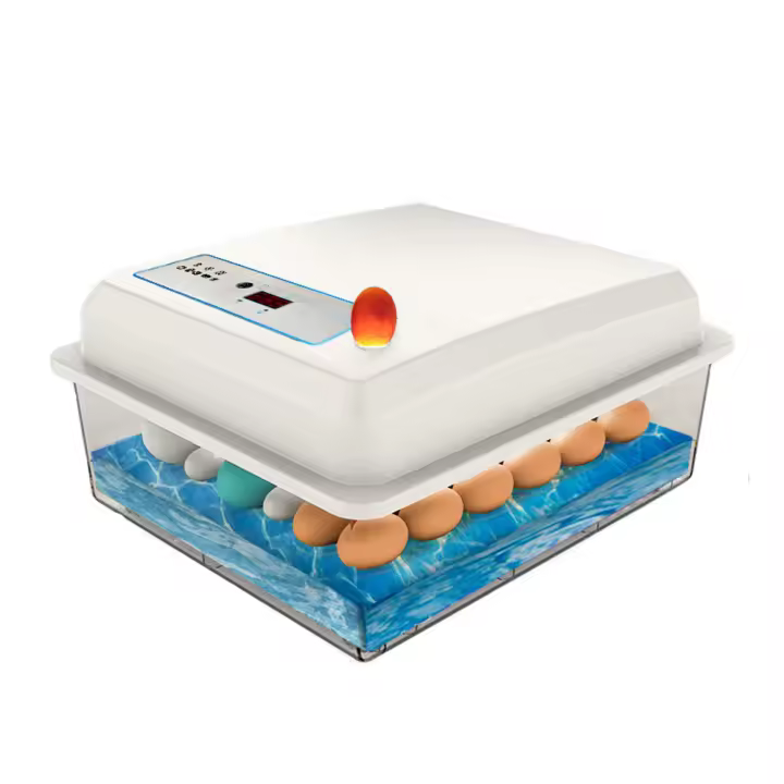Incubador De Huevos De 20 Unidades Automático Para Ponedero Doméstico Apto Para Pollos Gansos Pato Y Otros Pájaros Material Plástico - 1