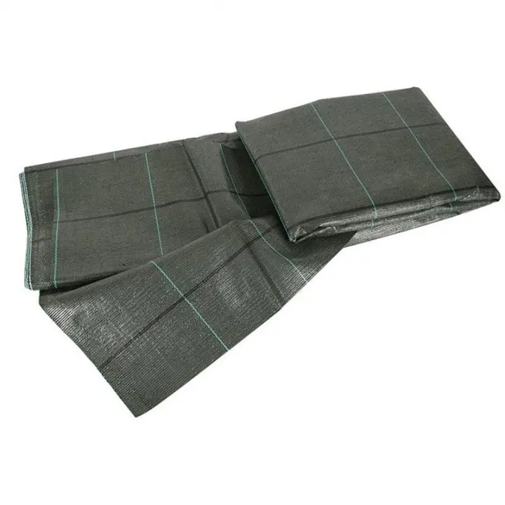 Fun&Go - Esterilla Camping Verde 3x4m | Impermeable - Fácil de Limpiar - Resistente - 1