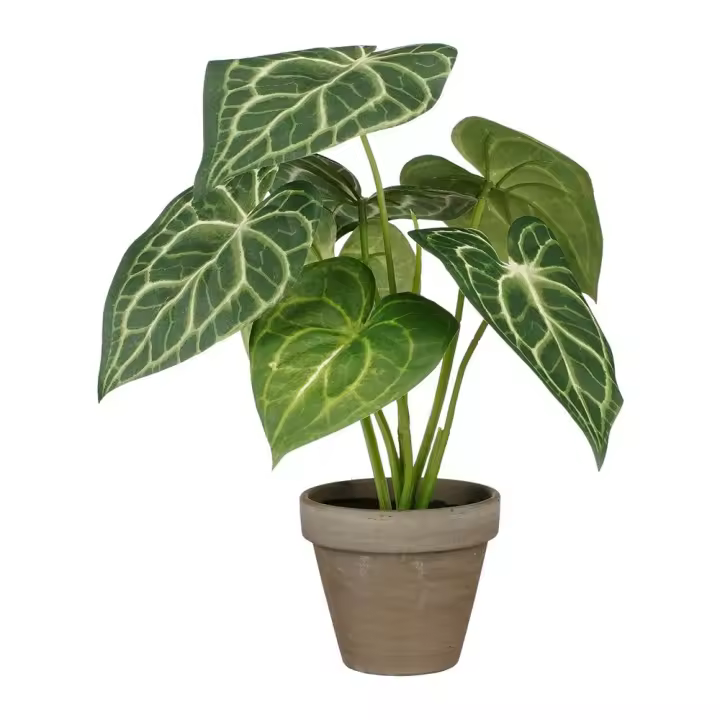 PLANTA ARTIFICIAL CALADIUM "OREJA DE ELEFANTE" VERDE CON MACETA Ã˜21X28cm - 1