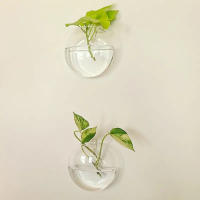 Terrario De Vidrio Para Plantas Colgante Estación De Propagación Vaso De Pared Decoración Para Oficina Y Hogar Moderno - details 5