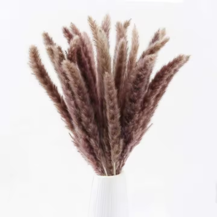 Ramo de tiara artificial de 30 piezas de 17" de alto con penachos de hierba de la pampa seca Phragmites Communis natural - 1