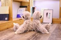Muñeco De Peluche Realista De Sota Para Niños Y Amigos Lindo Regalo De Navidad Relleno De Algodón PP Tipo De Peluche Adecuado Para Todas Las Edades - details 6