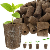 50/100Pcs Esponjas De Crecimiento De Semillas Reemplazo Para Raíces Esponjas De Cultivo Hidroponico Para Plantas Germinantes En Jardín - details 8