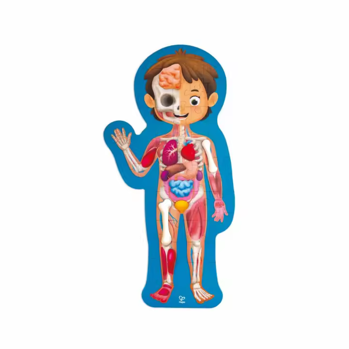 Puzzle Cuerpo Humano – 61 pzs. | Hape E1635 - 1