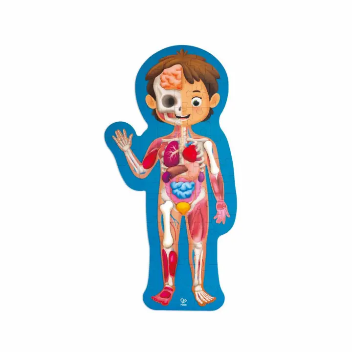 Puzzle Cuerpo Humano – 61 pzs. | Hape E1635 - 1