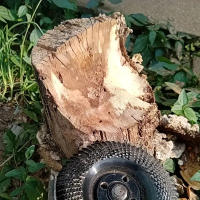 1pc Disco De Grabado En Madera Para Amoladora Angular De 4 Pulgadas Herramienta Rotatoria Abrazadera Para Trabajos De Carpintería Y Modelado - details 5