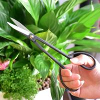 Tijeras De Bonsái Para Principiantes Con Mango Largo Herramientas De Jardinería Para Cortar Ramas Y Podar Plantas 20cm - details 5
