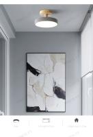 Lámpara De Techo LED Moderna En Colores Macarón Iluminación Para Nuevos Hogares Decoración Para Dormitorio Vestíbulo Pasillo Tecnología Inteligente Incluye Bombilla Fuente De Alimentación AC 220V Estilo Art Déco - details 19