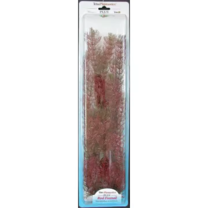 San Dimas - PLANTA FOXTAIL PLUS (46CM) - 1