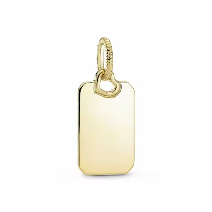 Colgante Pandora Shine Etiqueta Rectangular Grabable - 1