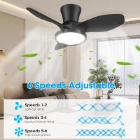 Ventilador de techo silencioso con luz LED, motor de CC, gran volumen de aire de 32 pulgadas, control remoto para cocina, dormitorio, comedor, patio - details 0