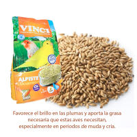Vinci, Alpiste para Pájaros, 1kg, 5kg, Semillas Alpiste para Canarios y fringílidos. - details 0