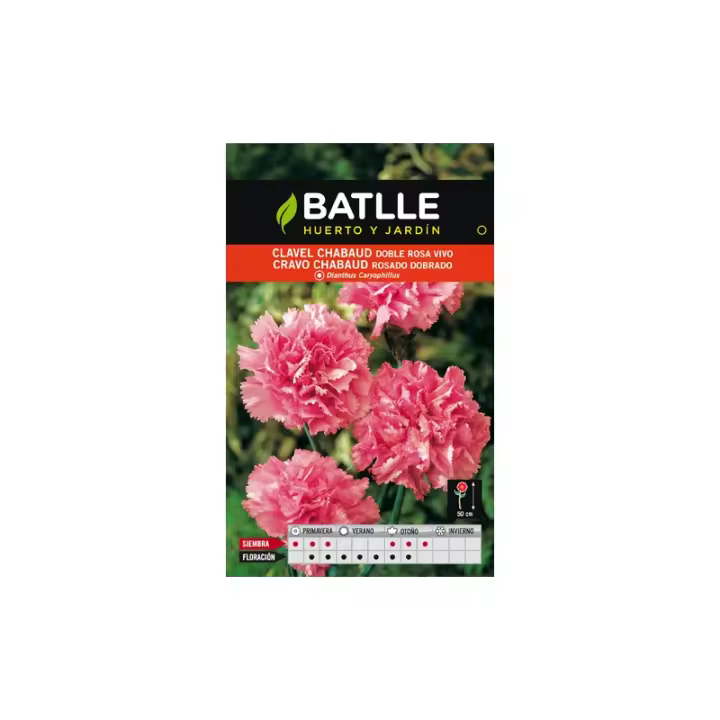 Batlle - CLAVEL CHABAUD ROSA - 1