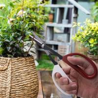 Tijeras De Jardín Para Bonsái Con Mango Largo Herramienta De Podar Ramas De Plantas Afiladas En Acero Inoxidable Para Jardinería - details 2