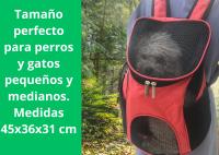 Mochila Transportin Gato JANDTEK 45x36x31cm - Ventilación Óptima y Segura - Para Perros y Gatos Pequeños - details 5