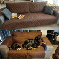 Cubierta De Sofá Antideslizante Y Anti-Polvo Protector Contra Gatos Y Niños Para 1/2/3 Asientos Funda De Sofá De Algodón 100% Jacaranda Sin Costuras Máscara De Sofá - details 0