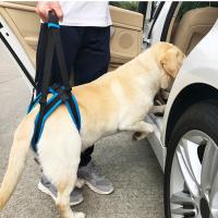 Sujetador Ajustable Para Perros Con Soporte De Caderas Y Piernas Traseras Herramienta De Ayuda Para Canes Y Rehabilitación De Ligamentos - details 1