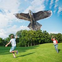 Eagle Kite Reel De Manejo Para Vuelo De Grandes Lanchas Aireales Accesorio Profesional Para Niños Y Adultos Juguete De Juego Al Aire Libre Forma Animal Polyester - details 4