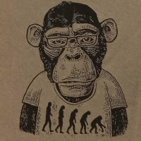 Camiseta hombre Sargantana monkey 85013064 kaki - details 2