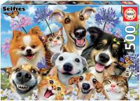 Educa Puzzle 500 piezas fun in the sun selfie, Incluye Pegamento Fix Puzzle  Educa 17983 - details 0
