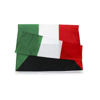 Bandera De Kuwait 90x150 Cm Para Decoración Material Poliéster Estilo Colgante Personalizable Sin Químicos Originales De China - details 1