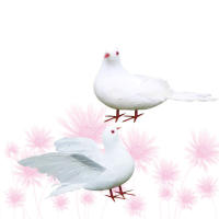 2 Pcs Pájaros De Paz Artificiales Decoración Para Hogar Y Boda Figura De Pigeon Blanco Adorno De Fotos Simple Pigeon Wing - details 4