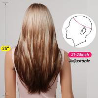 Pelucas Sintéticas De Encaje ALAN EATON Para Mujeres Rubia Con Mechas Marrón Y Corte Con Franja Peluca Larga Recta Ombre Heat Resistant - details 3
