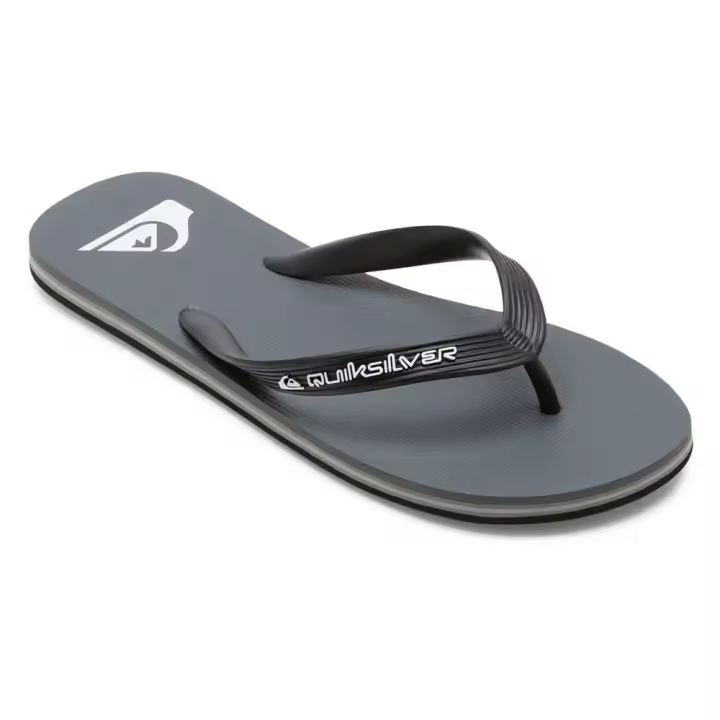 Calzado hombre Chanclas Quiksilver Chanclas Molokai Core Gris - 1