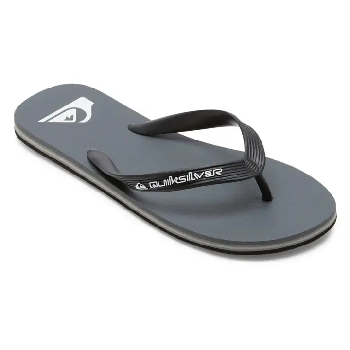 Calzado hombre Chanclas Quiksilver Chanclas Molokai Core Gris - 1