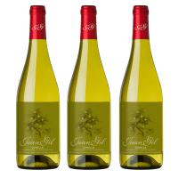 Nuevos Vinos -  Juan Gil Moscatel Seco PACK 3 BOTELLAS Vino Blanco Bodegas Juan Gil - details 0